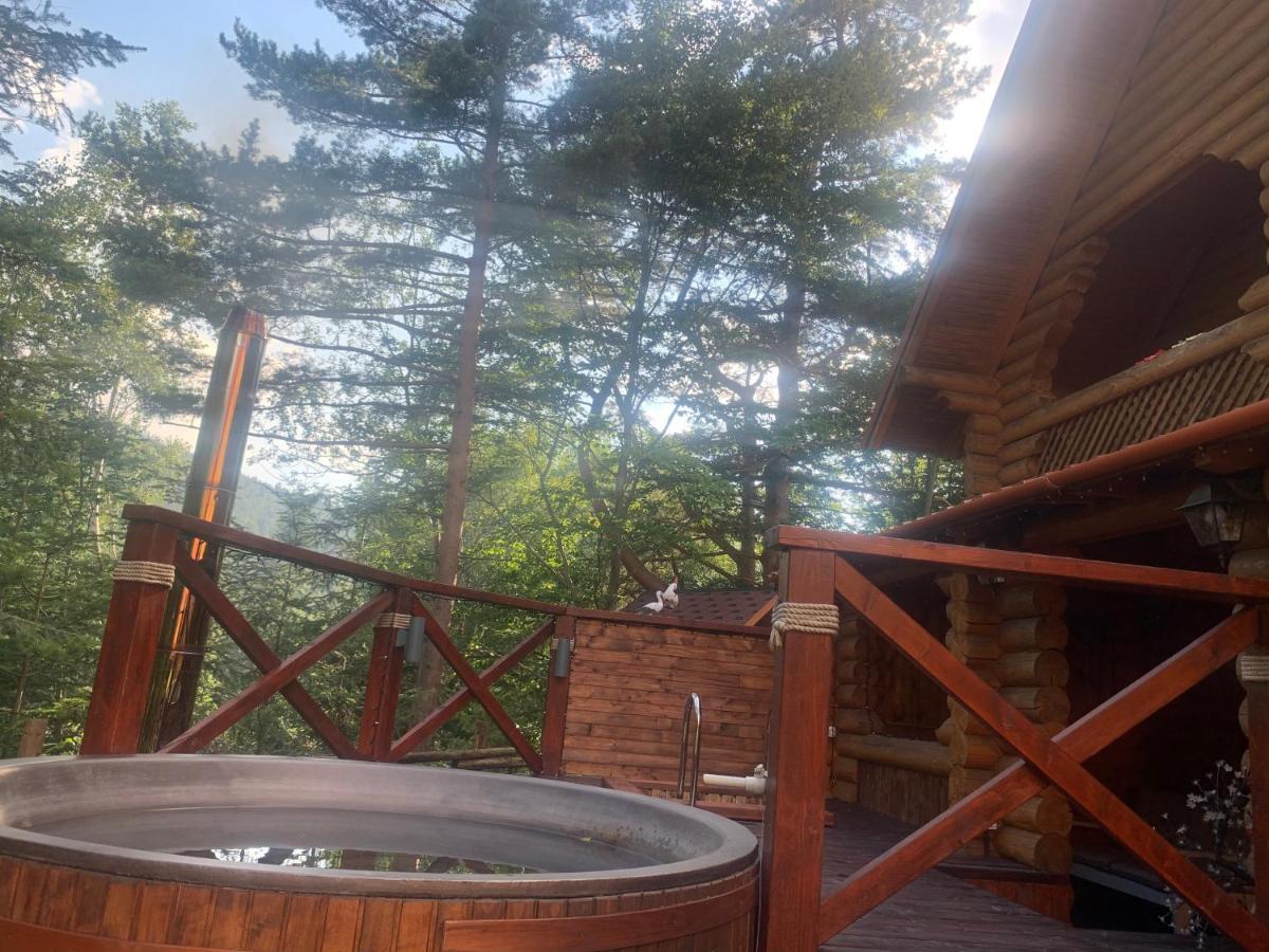 Котедж Villa Затишна Микуличин Екстериор снимка