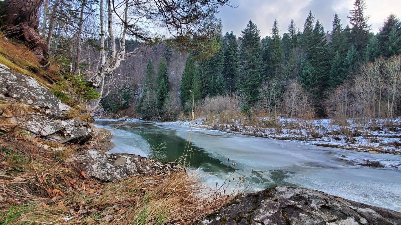 Котедж Villa Затишна Микуличин Екстериор снимка